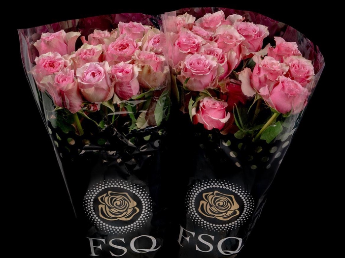 <h4>R GR Pink Monster</h4>