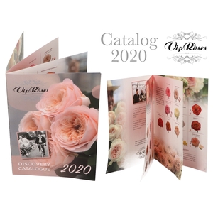 BROCHURE VIP ASSORTMENT