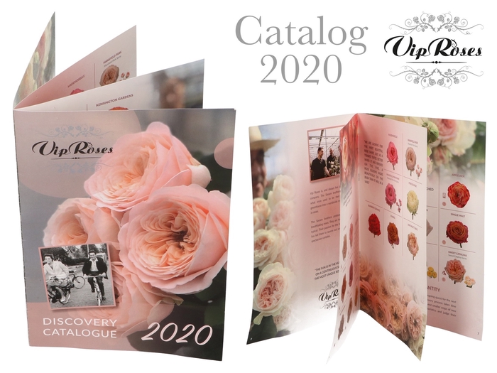 BROCHURE VIP ASSORTMENT