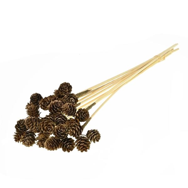 <h4>Omerica Cone 3pc On 50cm Stem 10pc Natural</h4>