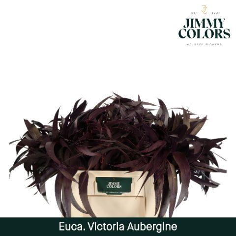 <h4>Victoriablad Gekleurd Klbh. Aubergine</h4>