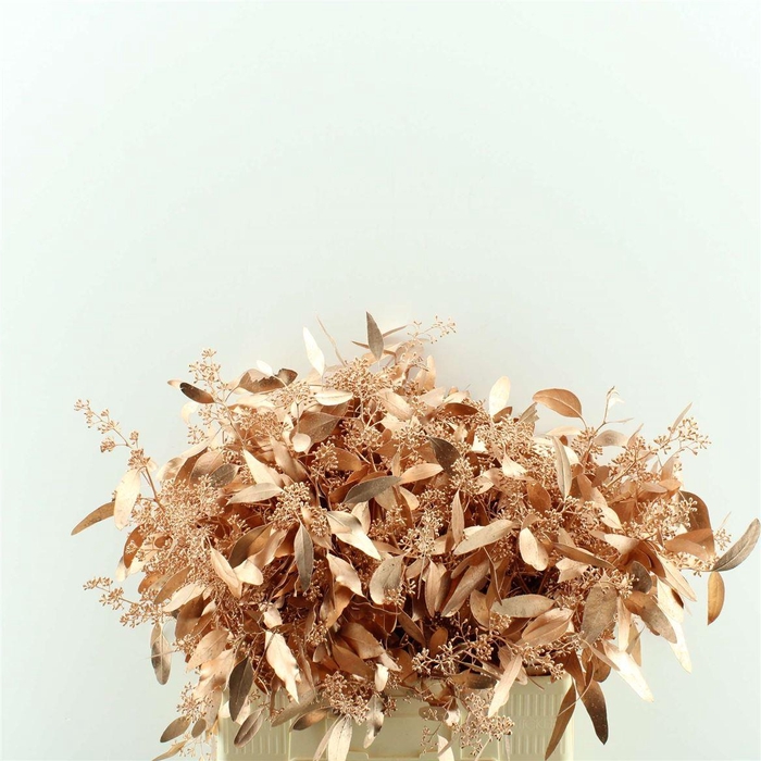 <h4>Populus Bes Geverfd Lang</h4>