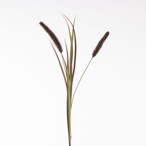 AF Pennisetum x2 L88cm Red