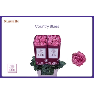 R GR COUNTRY BLUES