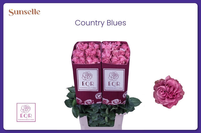 <h4>R GR COUNTRY BLUES</h4>