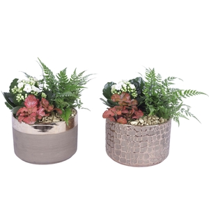 Yearround Arr. Indoor Ceramic Pure Luxury N568 Ø17cm 3PP