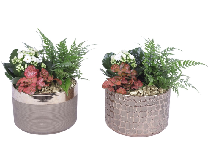 <h4>Yearround Arr. Indoor Ceramic Pure Luxury N568 Ø17cm 3PP</h4>