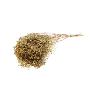 Bunch Broom Slv 100g L45