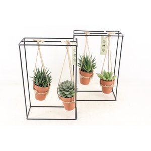 arr2 MB - Ijzer rek 2 terra pot