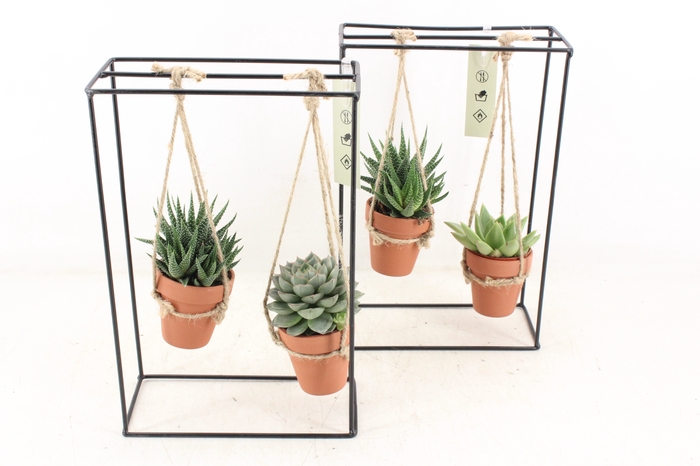 <h4>arr2 MB - Ijzer rek 2 terra pot</h4>