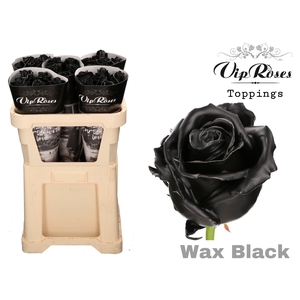 R GR WAX BLACK x 25