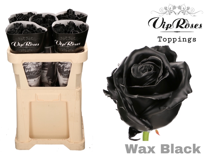 R GR WAX BLACK x 25