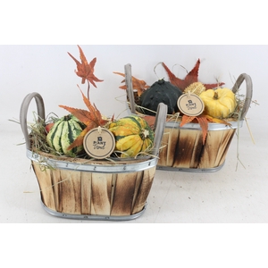 arr4 Sierfruit PL - Hout ovaal 2 oor 338/4