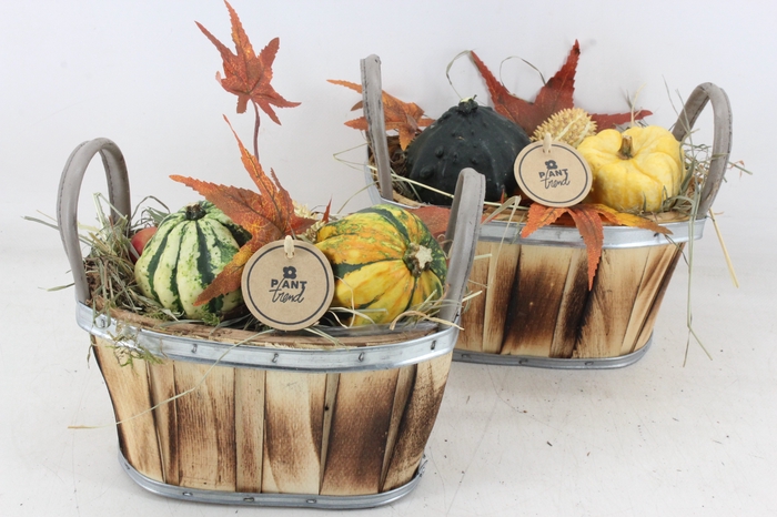 <h4>arr4 Sierfruit PL - Hout ovaal 2 oor 338/4</h4>