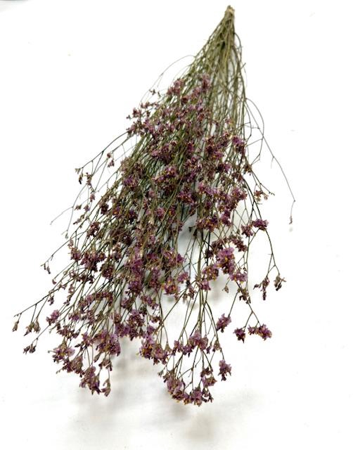 <h4>DROOG STATICE CHINA</h4>