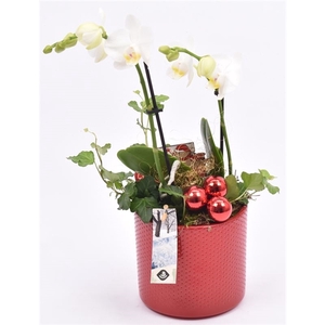 Keramiek pot rood 14cm