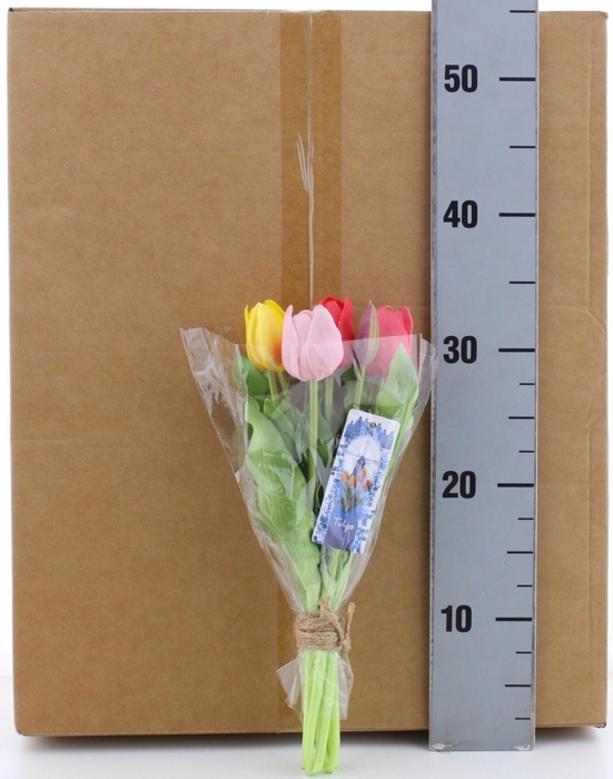 <h4>HUIS EN TUINDECO H%</h4>