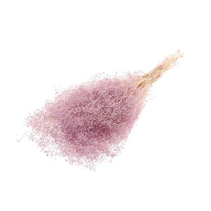 Bunch Gypsophila Pres.Slv 100g L40/50