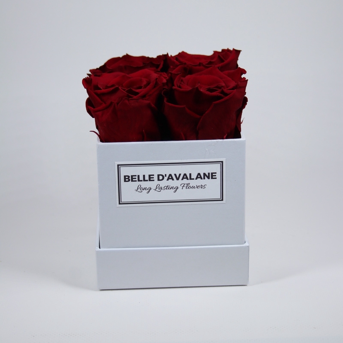 <h4>Box vk 10cm wit-bordeaux</h4>