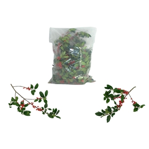 Hulst Rode Bes (3kg Per Zak)