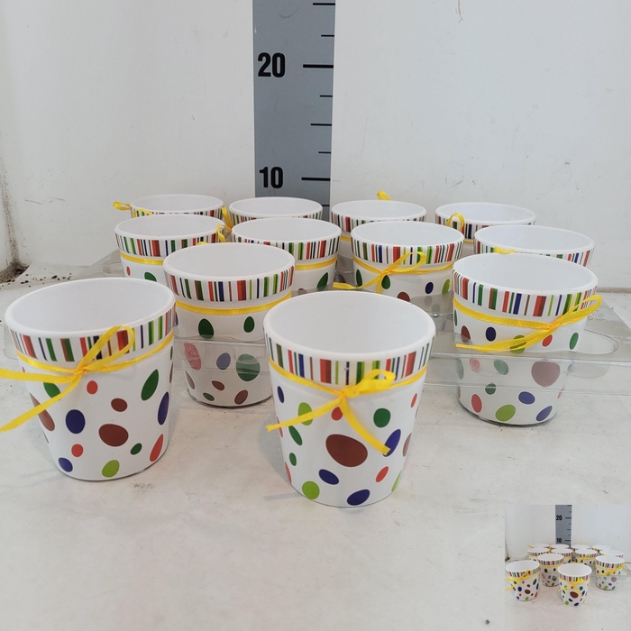 <h4>HUIS EN TUINDECO OV</h4>