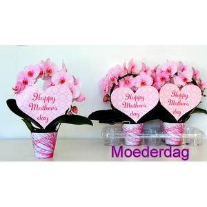 roze boog moederdag