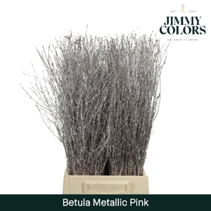 Betula L60 Mtlc. Roze