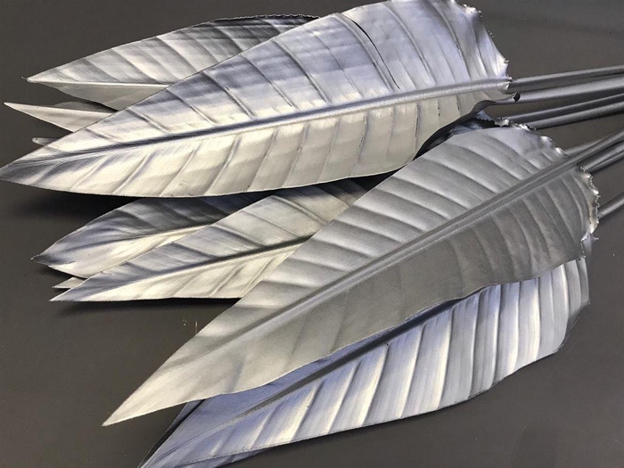 <h4>Strelitzia Blad Painted Silver</h4>