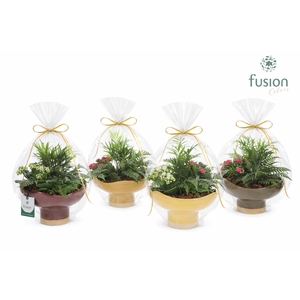 Keramiek schaal Large met Arrangement