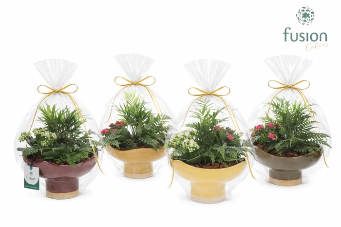 <h4>Keramiek schaal Large met Arrangement</h4>