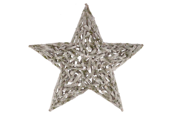 <h4>Festive Star Poplar Moss With Snow 90x90x10cm</h4>