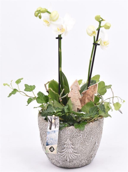 <h4>Cement pot kerstboom decor 15cm</h4>
