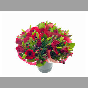 BQ 13 stems Red