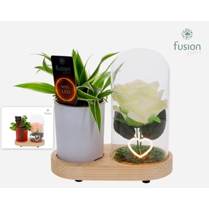 LED Lichtbal Hart houten planter met Groen planten