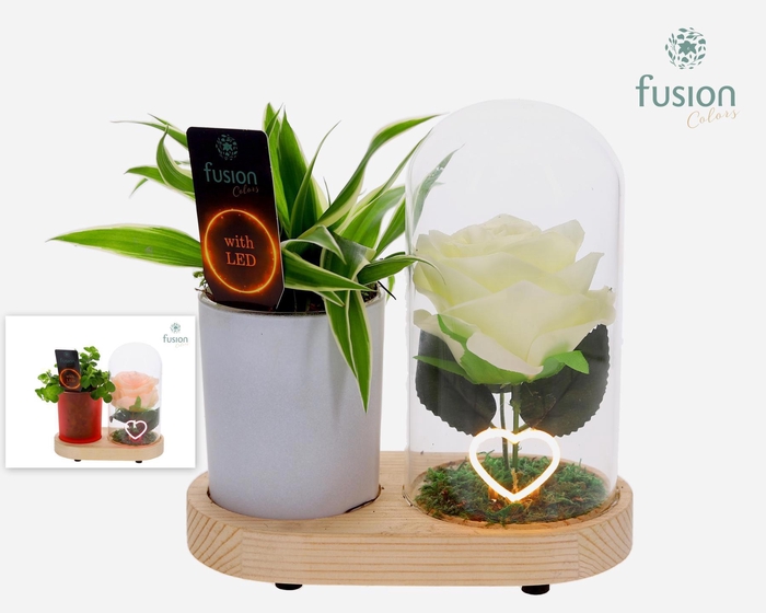<h4>LED Lichtbal Hart houten planter met Groen planten</h4>
