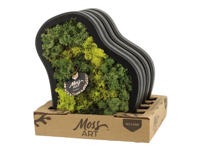 <h4>90790: Moss Art arrangement D30</h4>