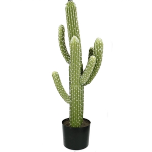 Kunstplanten Pot Cactus d35*83cm