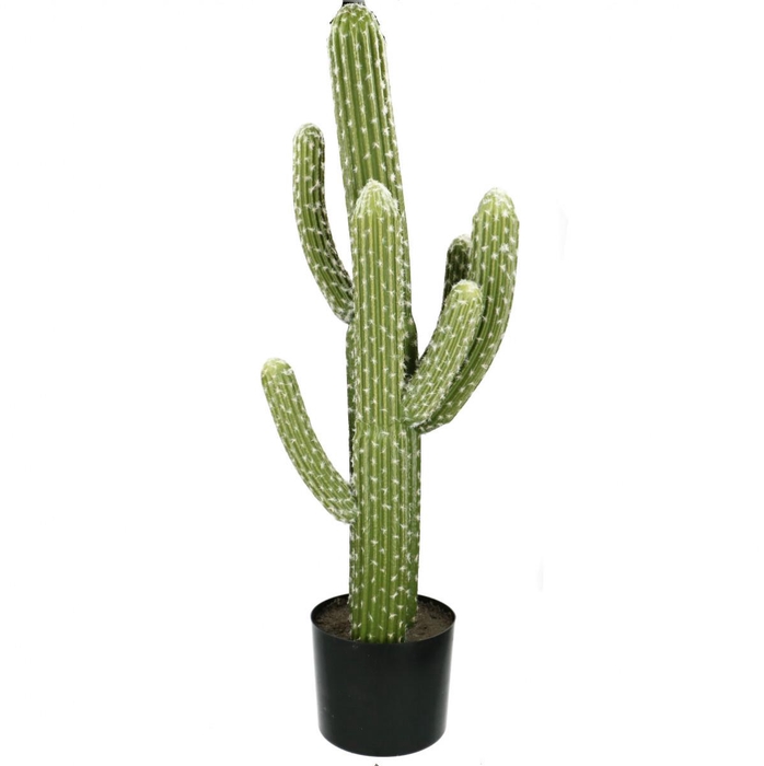<h4>Kunstplanten Pot Cactus d35*83cm</h4>