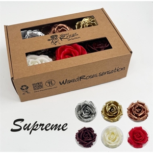 Zijde R Supreme Kerstmix Wx