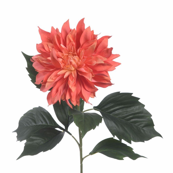 <h4>AF Dahlia Spider L84cm Orange</h4>