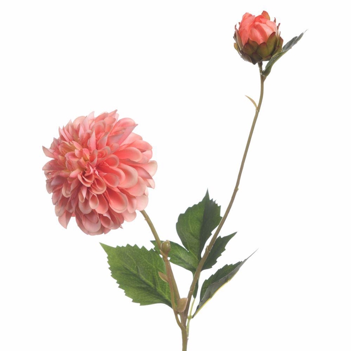 <h4>AF Dahl Pomp x2 65cm L.Salmon</h4>