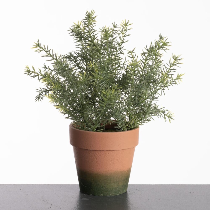 <h4>AF Asparagus pot H31cm Green</h4>