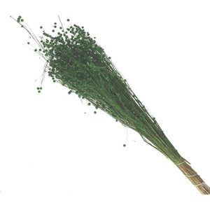 Droogbloem Lino/vlas 60cm