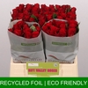 Rosa GR 'Red Torch'