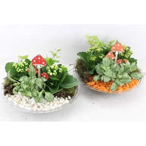 Arr2 Pl - Glas Schaal 27cm - Oranje/wit