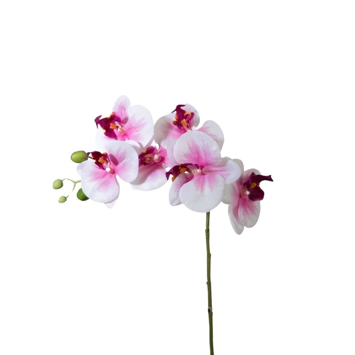 <h4>Artificial flowers Phalaenopsis 68cm</h4>