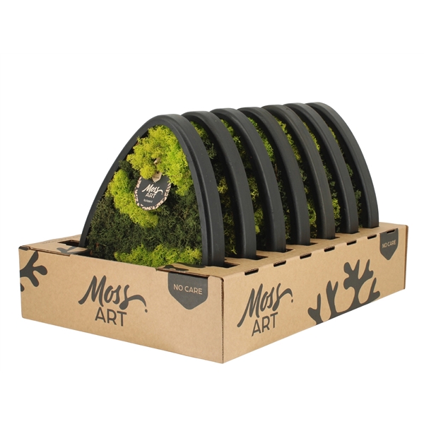 <h4>90782: Moss Art arrangement D33</h4>