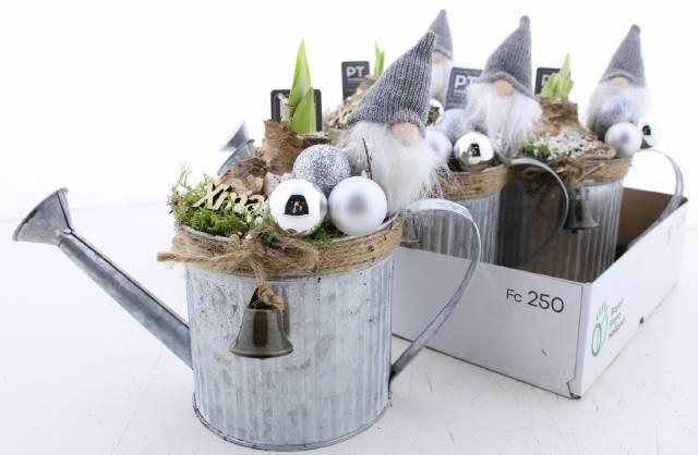 <h4>ARR BOL KNOLGEWAS</h4>