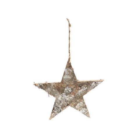 Kerst Hanger ster 25cm