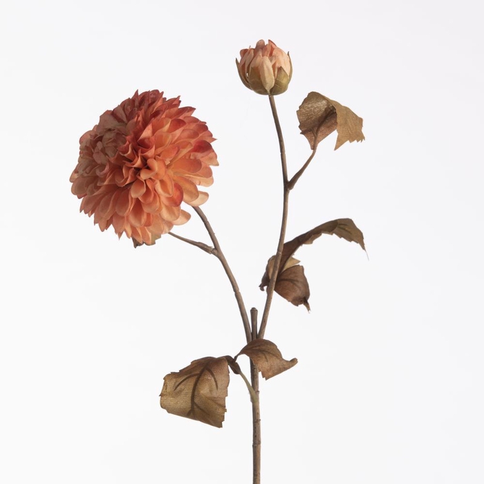 <h4>AF Dahlia Dried x2 L61cm Peach</h4>
